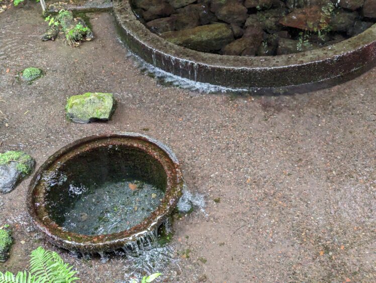 The clarity of water in Kakitagawa Park is excellent