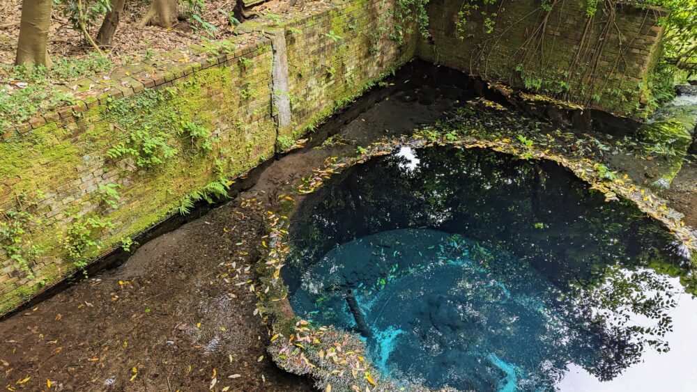 A blue hole emerges in the woods