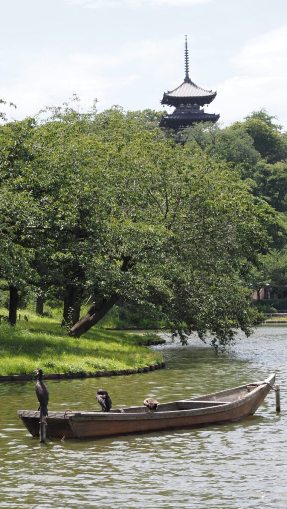 Herons are taking a rest on a wooden boat