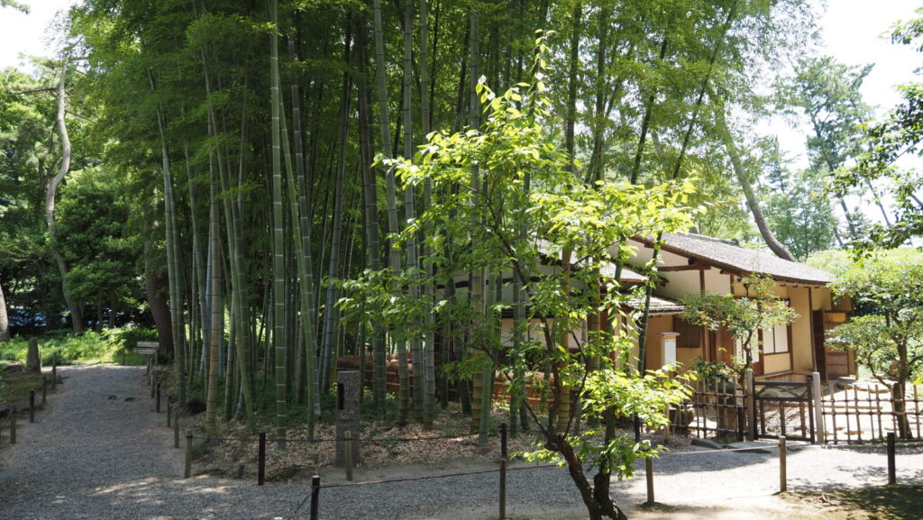 Rengein used be a tea house of the Inner Garden of Sankeien