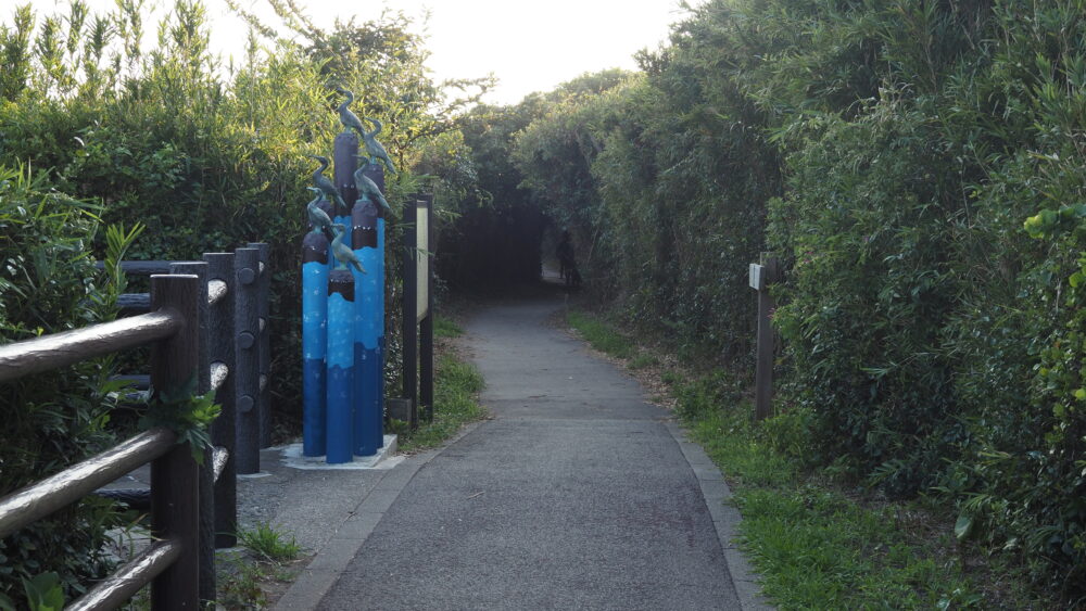 A green tunnel in Jogashima Park