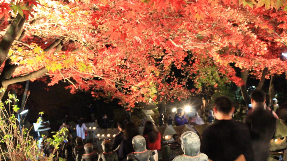 Night view at Oyama Temple