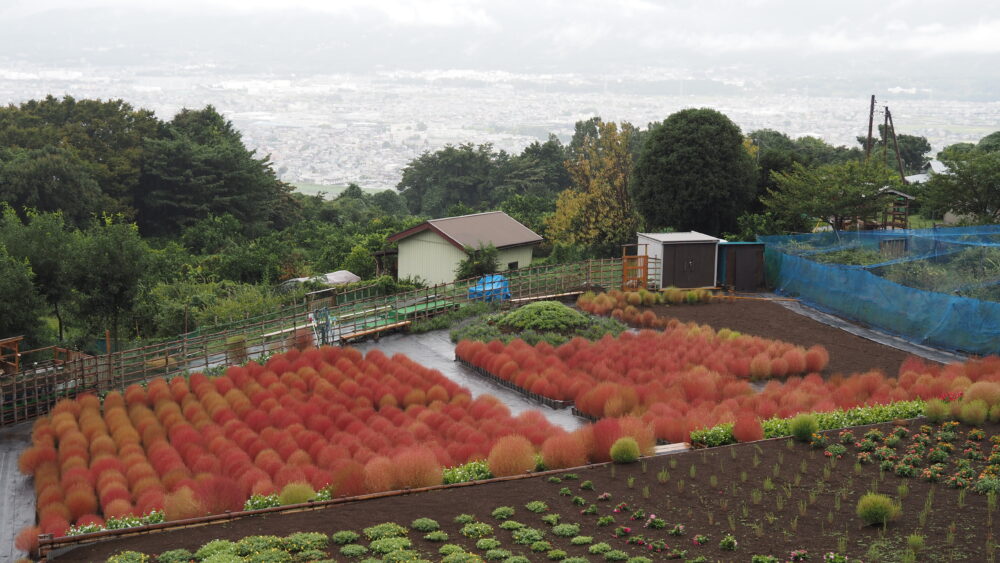 "Kochia no Sato", a small garden in Kanagawa