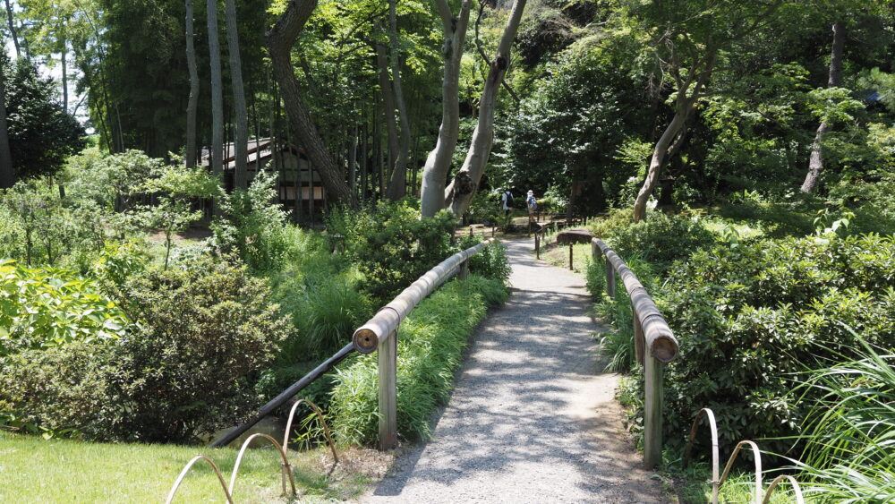 A green path to Rengein