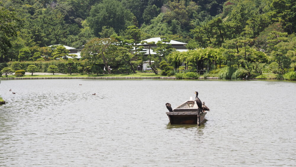 A photo of Oike in Sankeien Garden