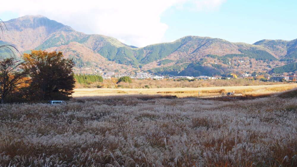 Sengokuhara in the morning