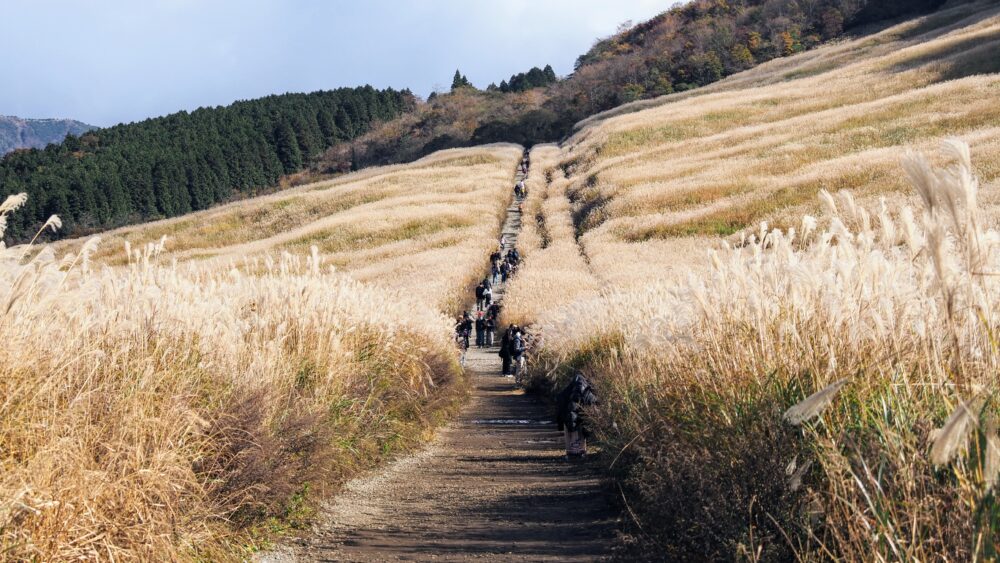 The trail was filled with many visitors