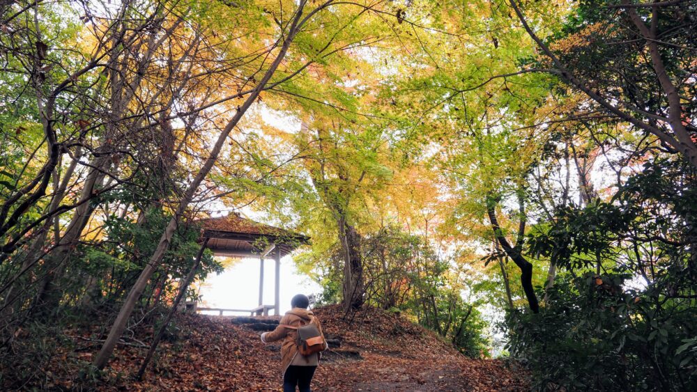 Foliage tunnel of Miharashidai