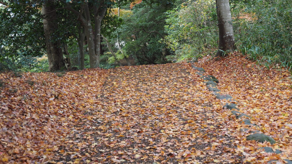 The foliage rug helped our excursion